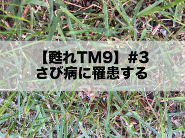 甦れtm9 1 やっぱりハゲ気味なので手を入れる